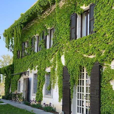 Agriturismo Tra Le Vigne Buttrio Exterior photo