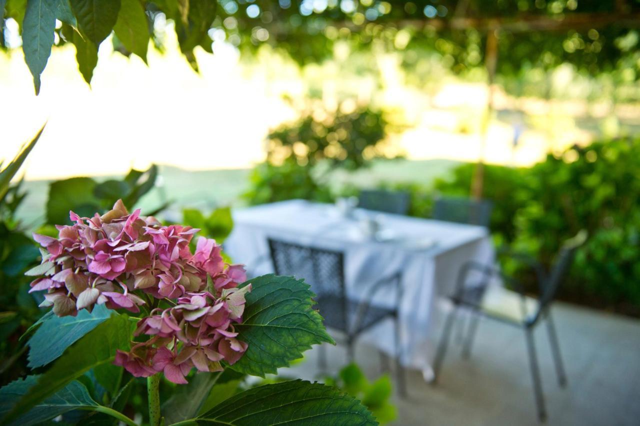 Agriturismo Tra Le Vigne Buttrio Exterior photo