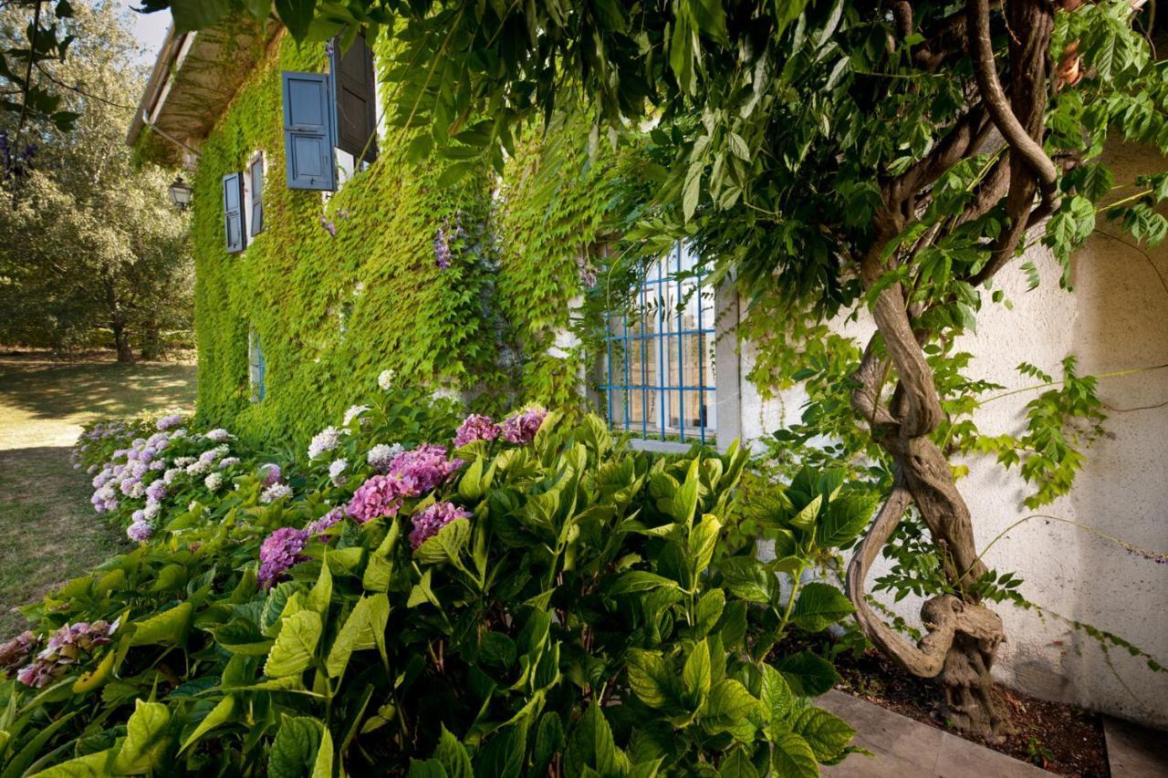 Agriturismo Tra Le Vigne Buttrio Exterior photo